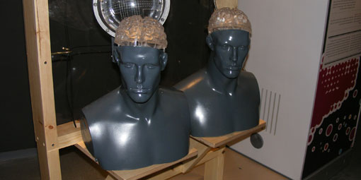 TMS